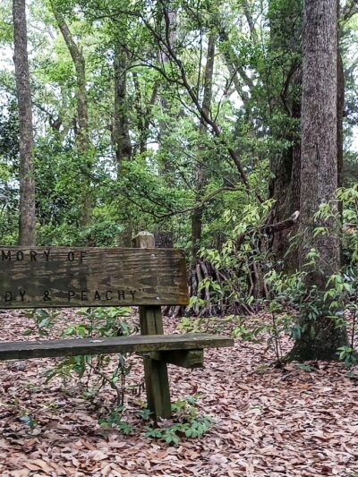 Fairhope Dog Park - Fairhope, AL
