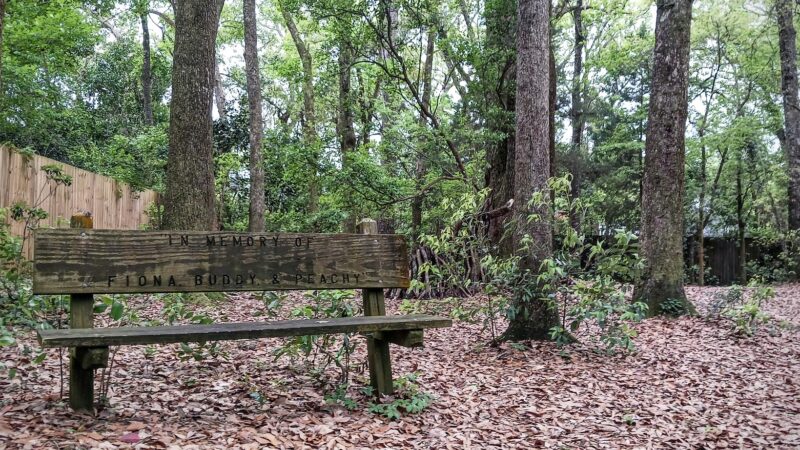 Fairhope Dog Park - Fairhope, AL