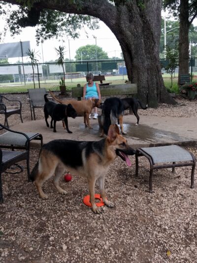 Fairhope Dog Park - Fairhope, AL