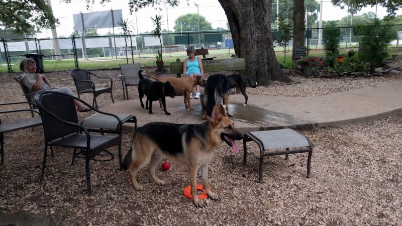 Fairhope Dog Park - Fairhope, AL