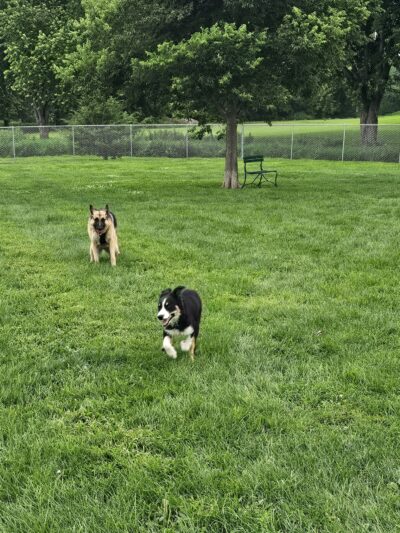Fairmont Dog Park - Fairmont, MN