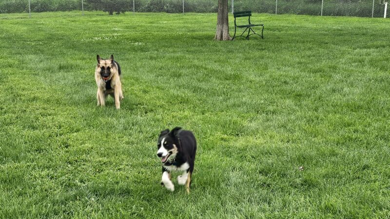 Fairmont Dog Park - Fairmont, MN