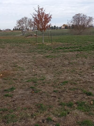Fairmont Dog Park - Fairmont, MN