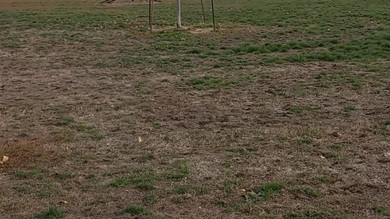 Fairmont Dog Park - Fairmont, MN