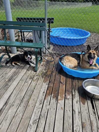 Fairmont Dog Park - Fairmont, MN