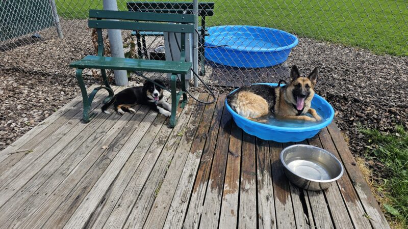 Fairmont Dog Park - Fairmont, MN