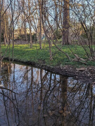 Howard E Herman Park - Falls Church, VA