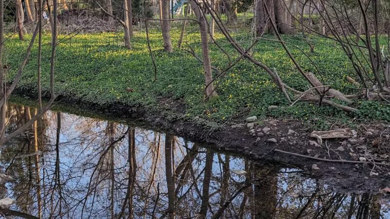 Howard E Herman Park - Falls Church, VA
