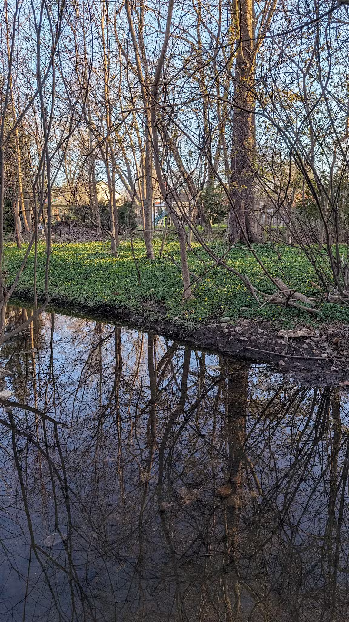 Howard E Herman Park - Falls Church, VA