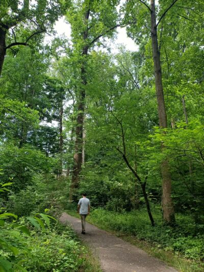 John Mastenbrook-Greenway Downs Park - Falls Church, VA