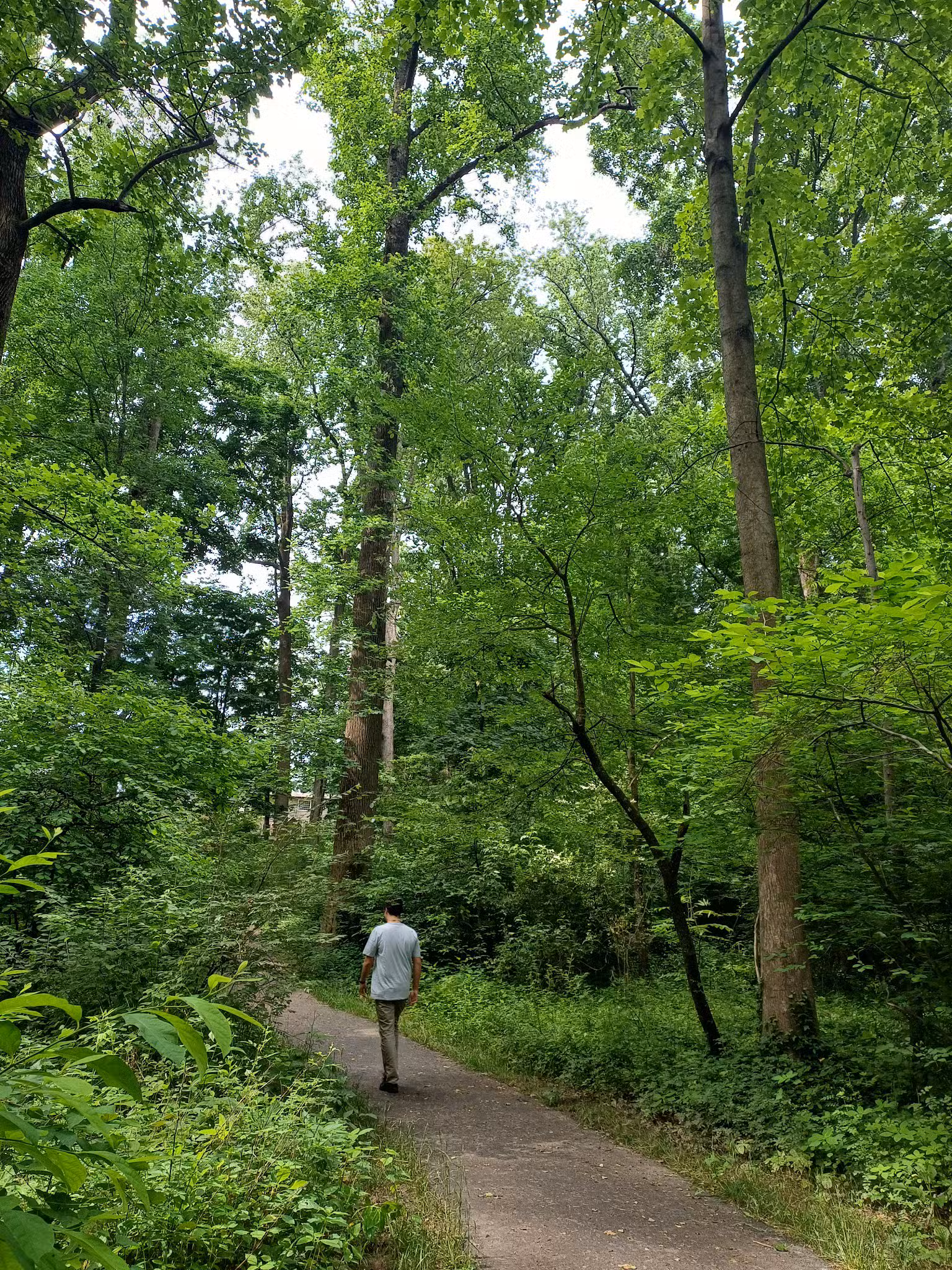 John Mastenbrook-Greenway Downs Park - Falls Church, VA