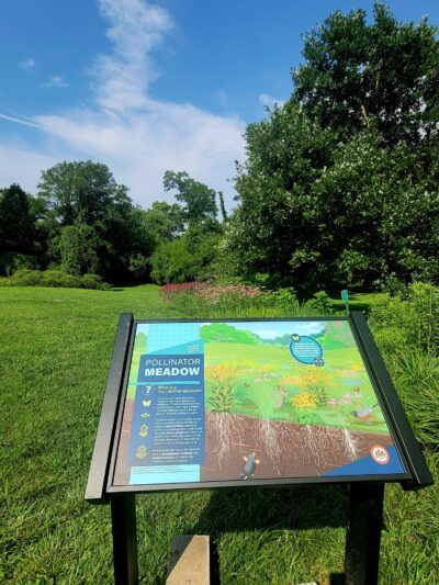 Lemon Road Park - Falls Church, VA