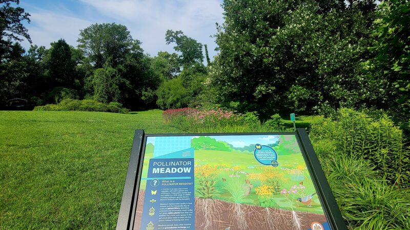 Lemon Road Park - Falls Church, VA