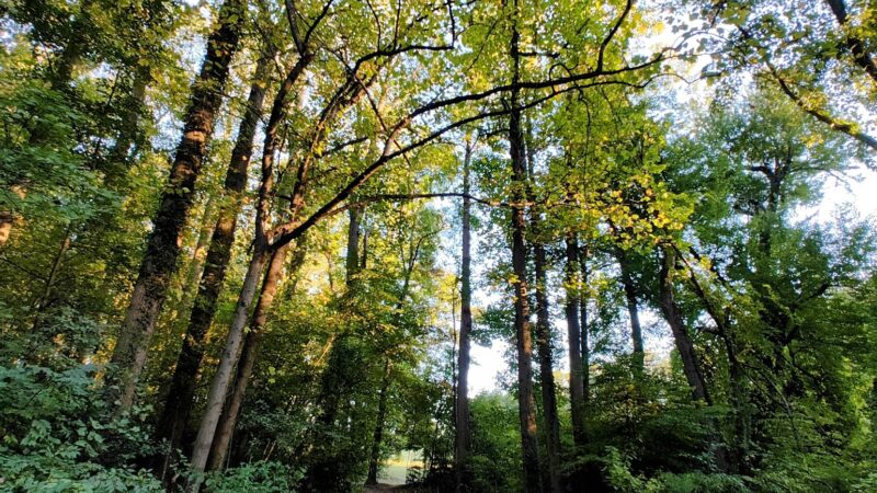 Lemon Road Park - Falls Church, VA