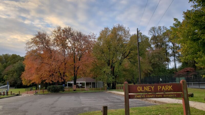 Olney Park - Falls Church, VA
