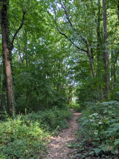 Olney Park - Falls Church, VA