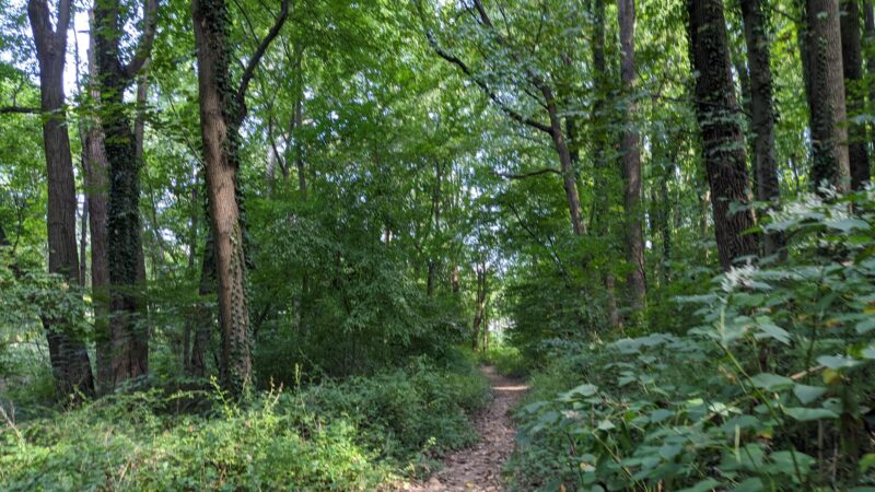 Olney Park - Falls Church, VA