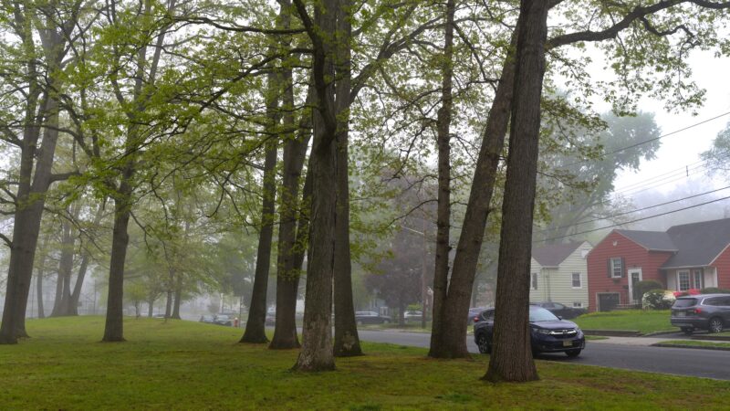La Grande Park - Fanwood, NJ