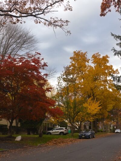 La Grande Park - Fanwood, NJ