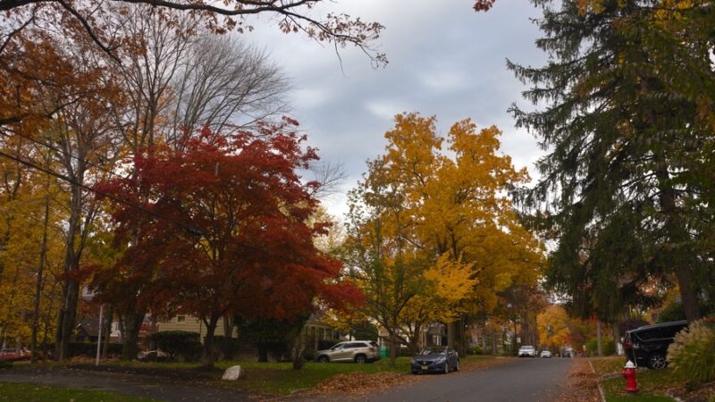 La Grande Park - Fanwood, NJ