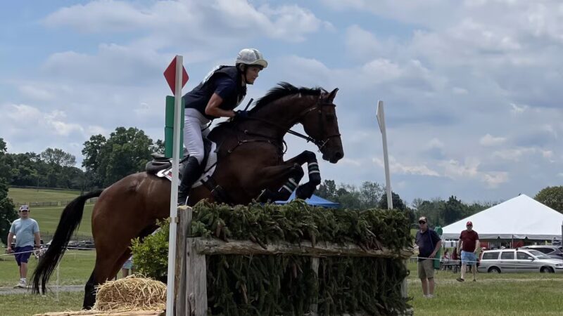 Far Hills Fairgrounds - Far Hills, NJ