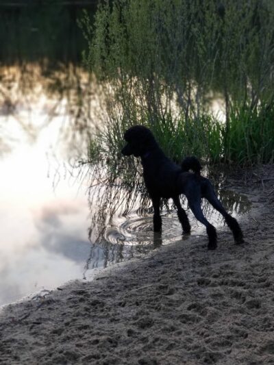 White Sands Park - Faribault, MN