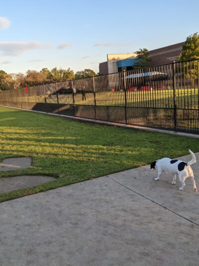 Barney Wood Bark Park - Farmers Branch, TX