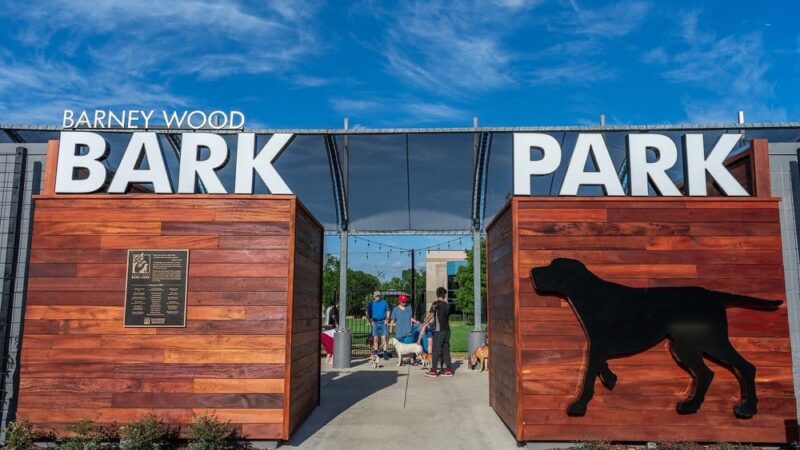 Barney Wood Bark Park - Farmers Branch, TX