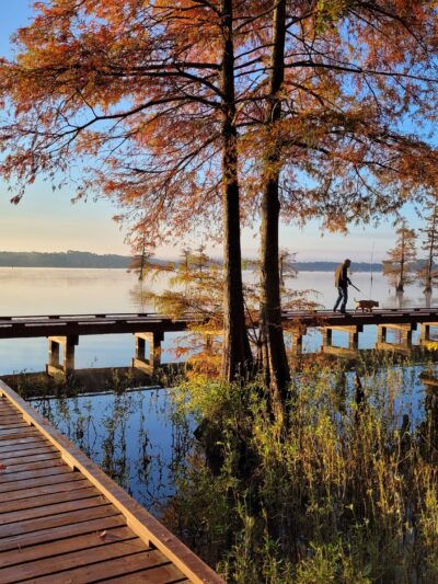 Lake D'Arbonne State Park - Farmerville, LA