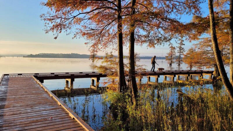 Lake D'Arbonne State Park - Farmerville, LA