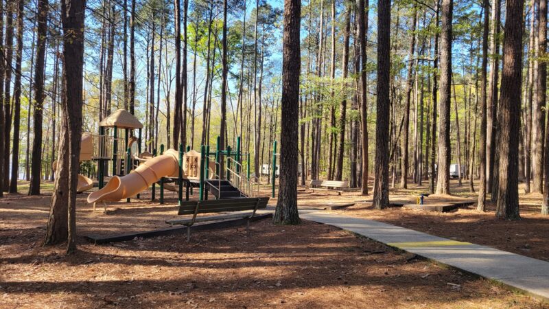 Lake D'Arbonne State Park - Farmerville, LA