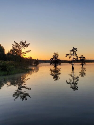 Lake D'Arbonne State Park - Farmerville, LA