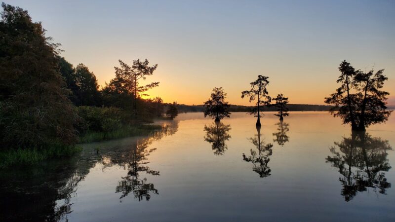 Lake D'Arbonne State Park - Farmerville, LA