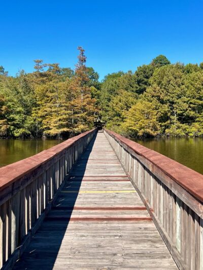 Lake D'Arbonne State Park - Farmerville, LA