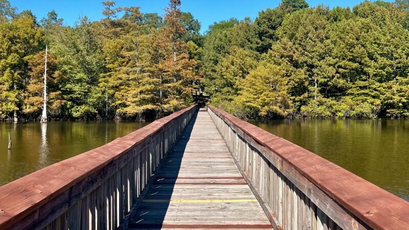 Lake D'Arbonne State Park - Farmerville, LA