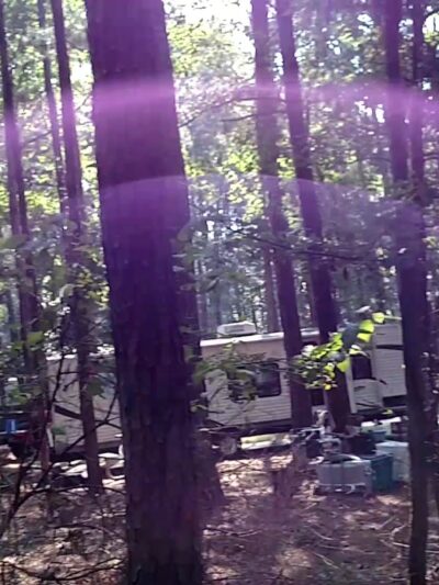 Lake D'Arbonne State Park - Farmerville, LA