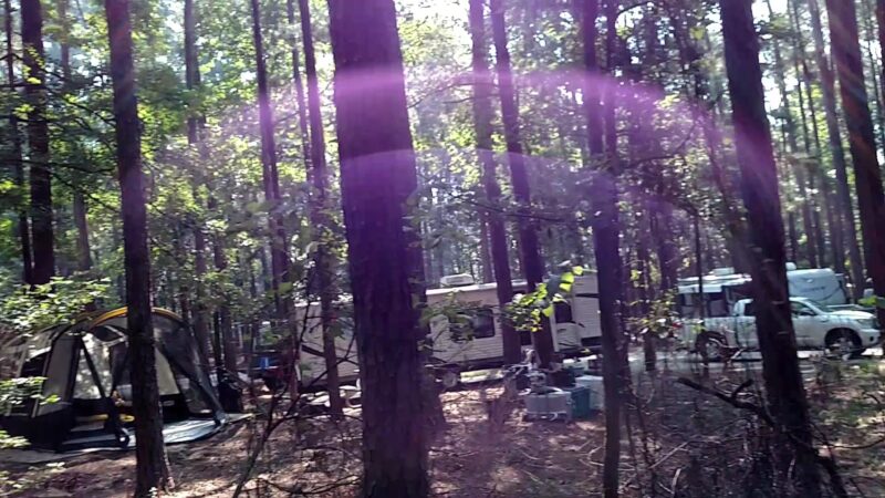 Lake D'Arbonne State Park - Farmerville, LA