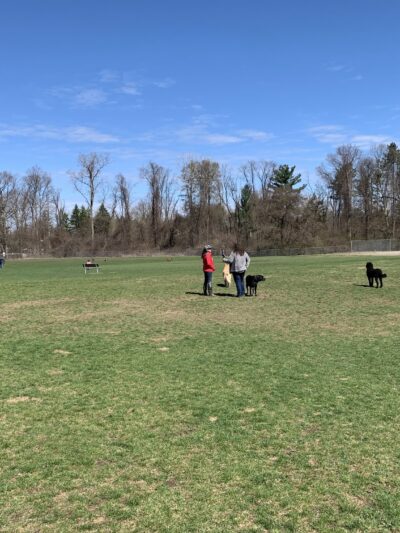 William Grace Dog Park - Farmington Hills, MI