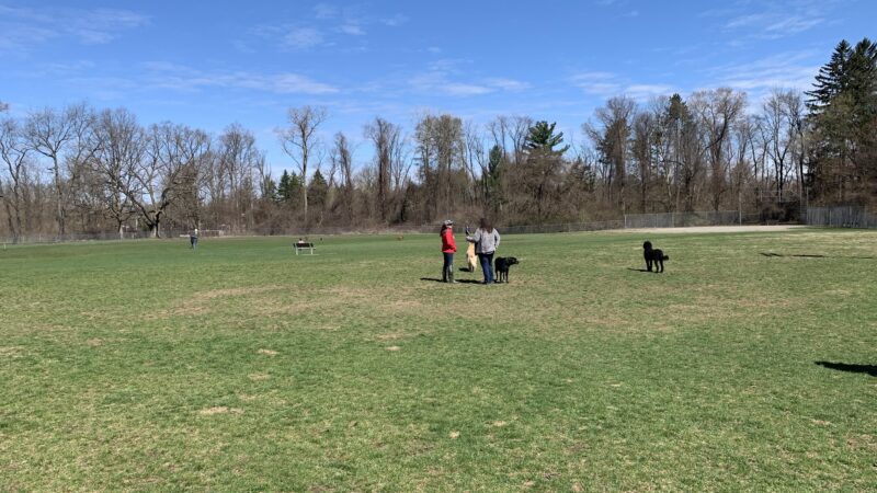 William Grace Dog Park - Farmington Hills, MI