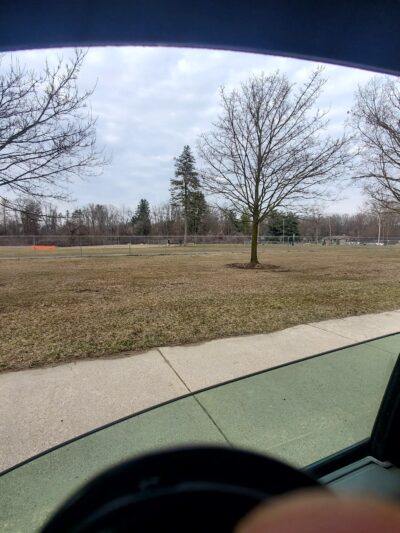 William Grace Dog Park - Farmington Hills, MI