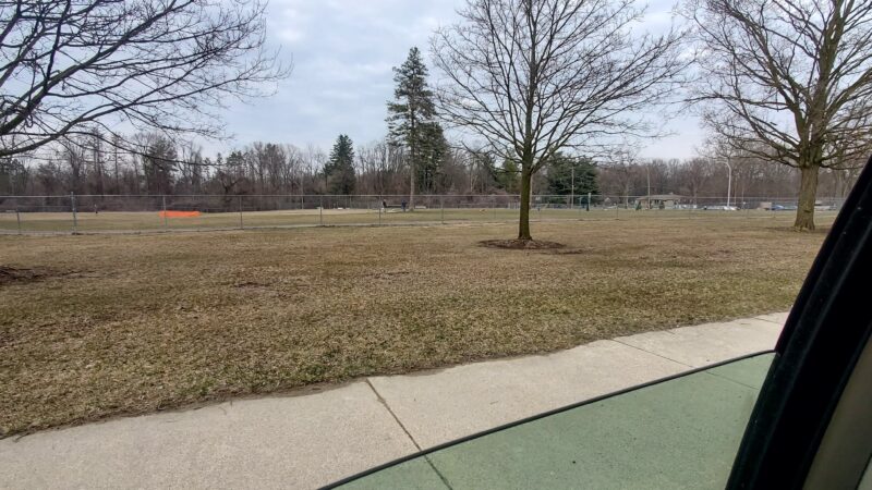 William Grace Dog Park - Farmington Hills, MI