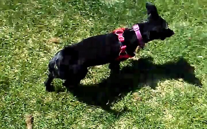 Saddleback Park - Farmington, NM