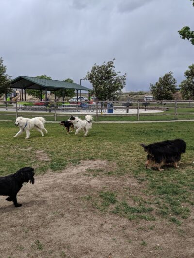 Saddleback Park - Farmington, NM