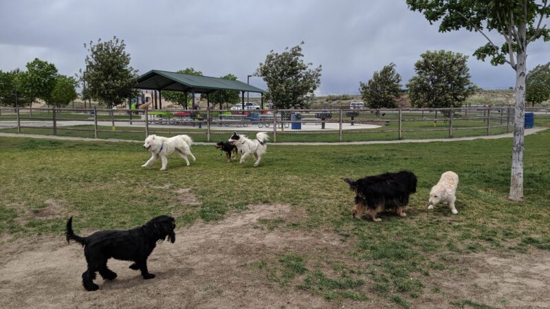 Saddleback Park - Farmington, NM