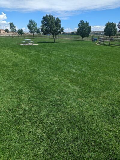 Saddleback Park - Farmington, NM