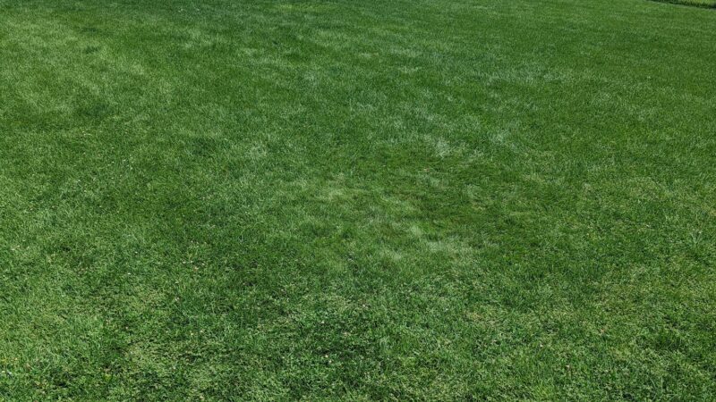 Saddleback Park - Farmington, NM