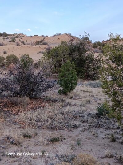 Saddleback Park - Farmington, NM