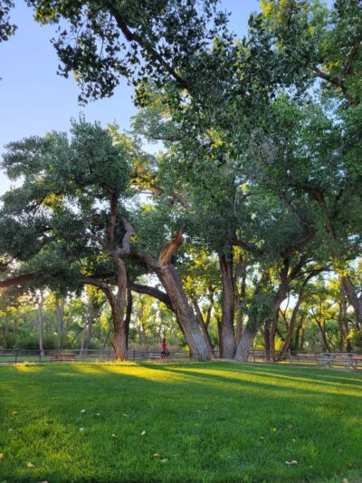 Westland Dog Park - Farmington, NM
