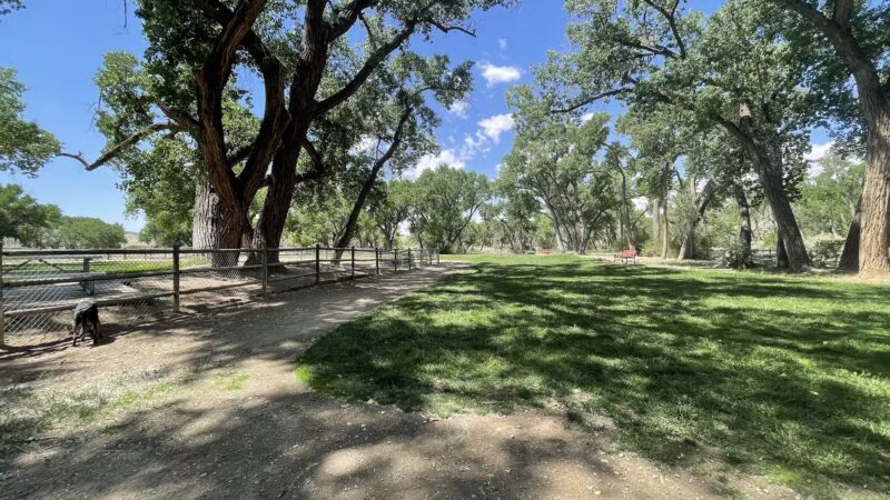 Westland Dog Park - Farmington, NM