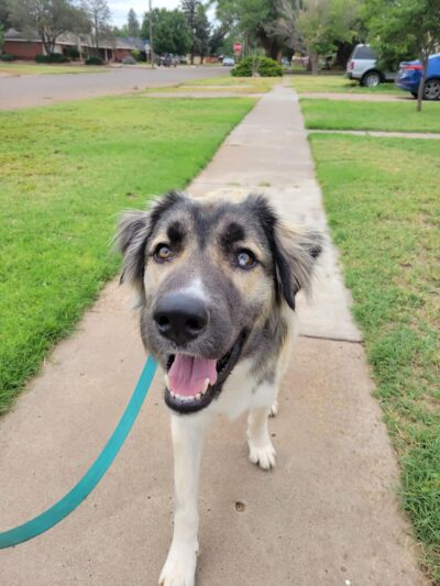 Farwell City Park - Farwell, TX